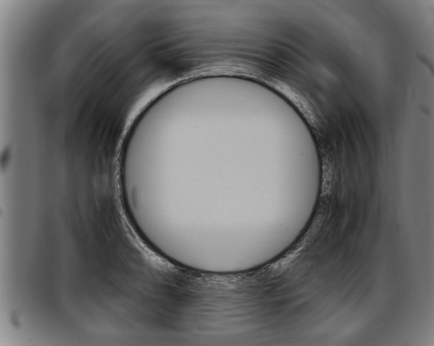 X0000097501086200802220836