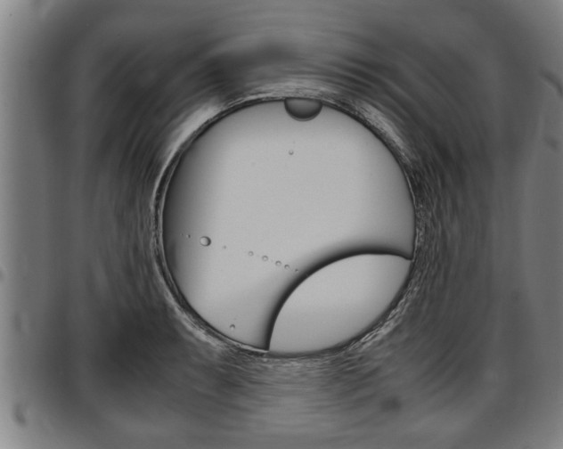 X0000097501087200802220836