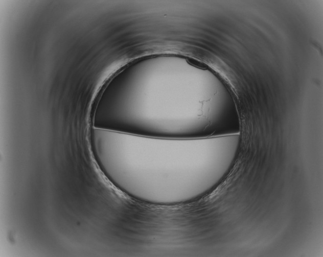 X0000097501088200802220836