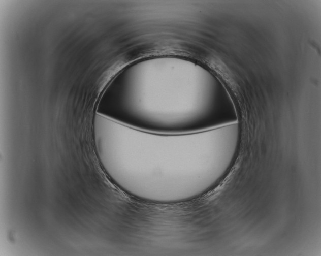 X0000097501089200802220836