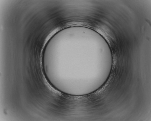 X0000097501090200802220836