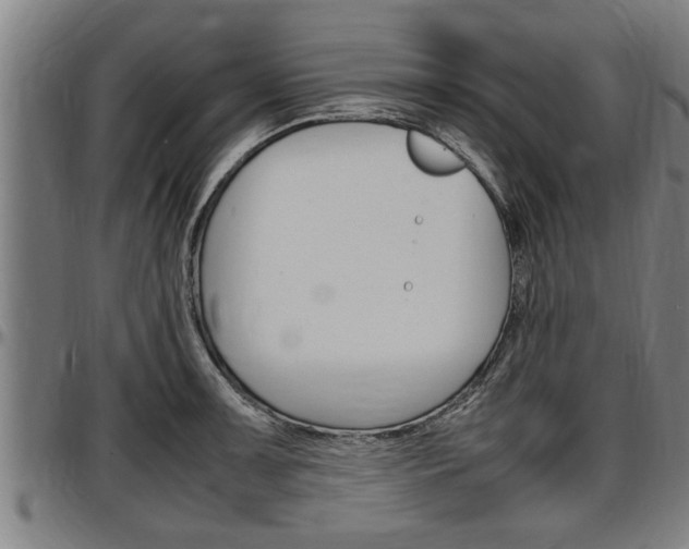 X0000097501091200802220836
