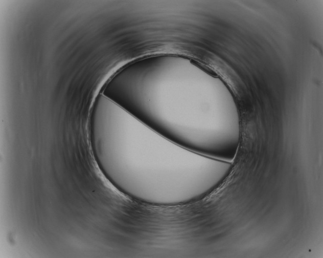 X0000097501092200802220836