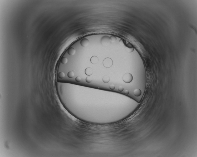 X0000097501095200802220836