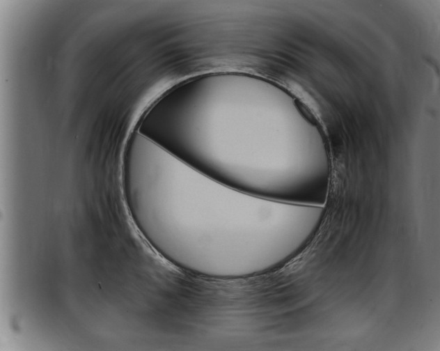 X0000097501096200802220836