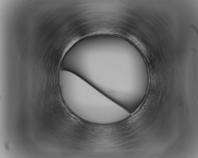 X0000097501097200802220836