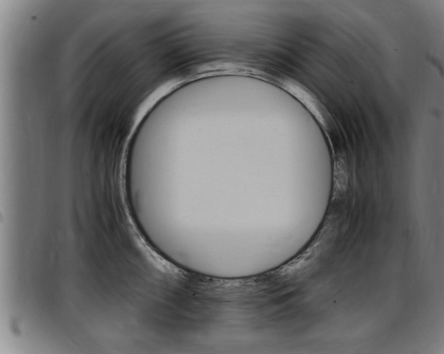 X0000097501098200802220836
