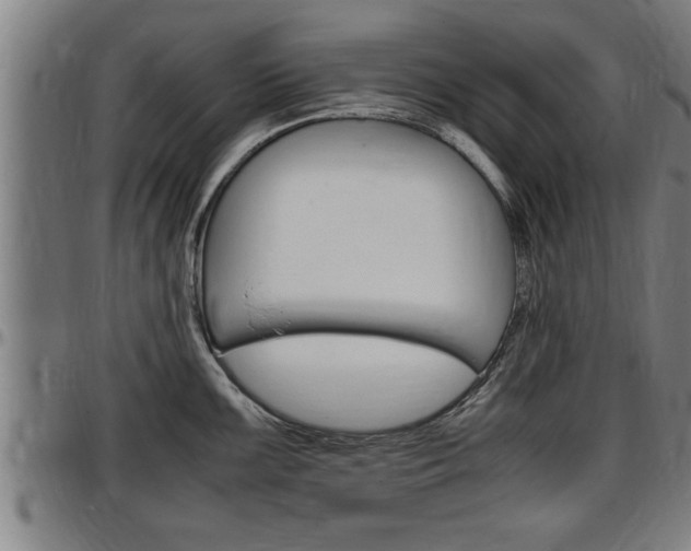 X0000097501099200802220836