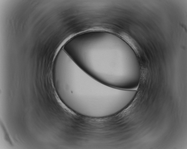 X0000097501100200802220836
