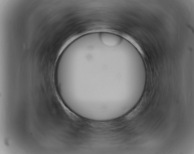 X0000097501101200802220836