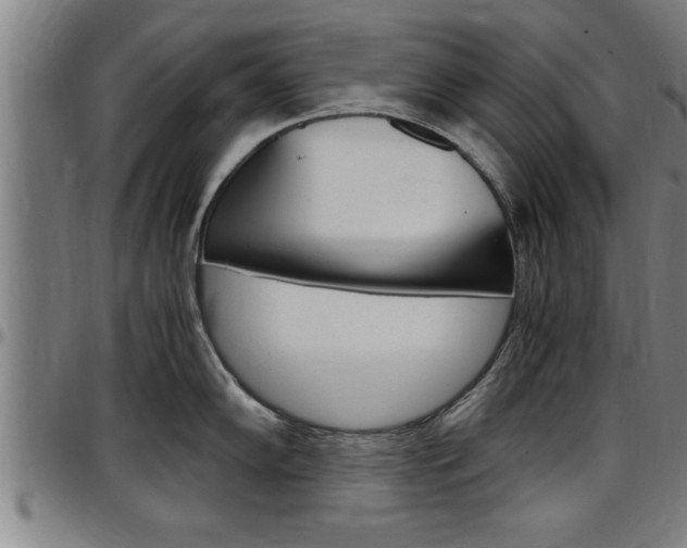 X0000097501102200802220836