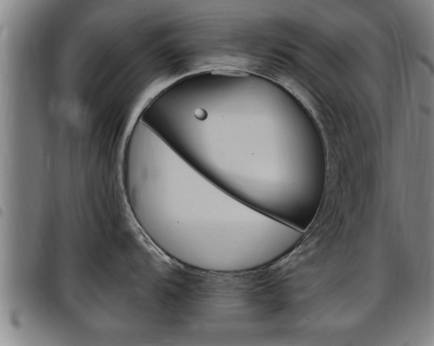 X0000097501104200802220836