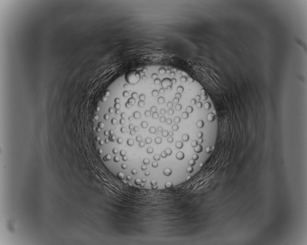 X0000097501105200802220835