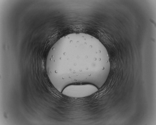 X0000097501106200802220835