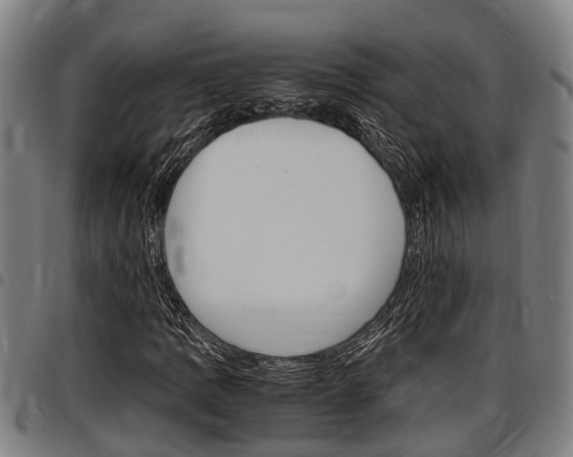 X0000097501109200802220835