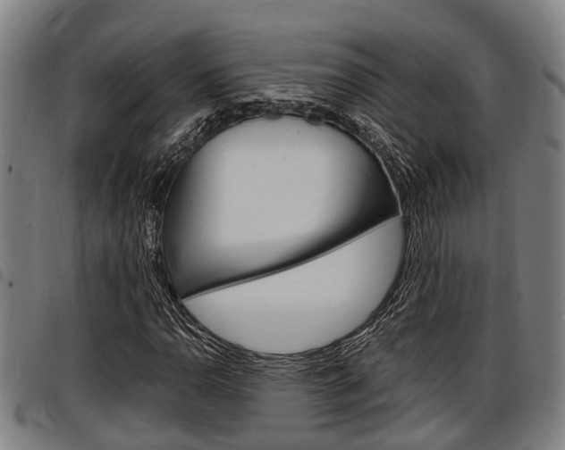 X0000097501110200802220835