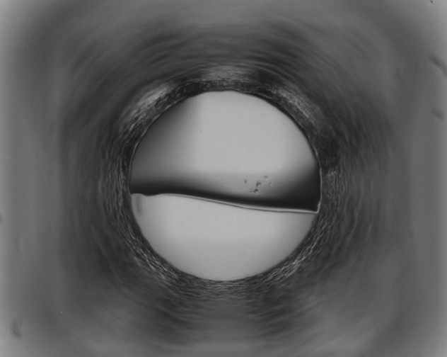 X0000097501111200802220835