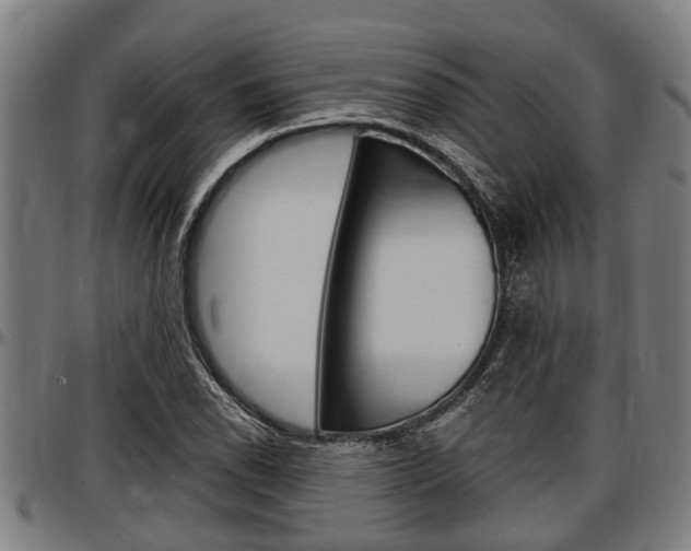 X0000097501118200802220835
