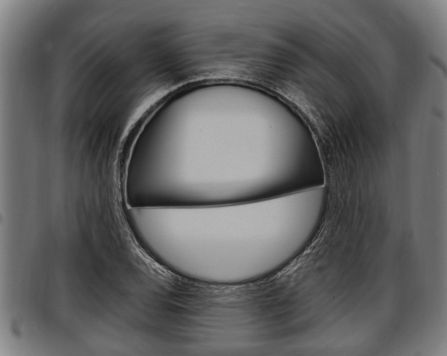 X0000097501120200802220835