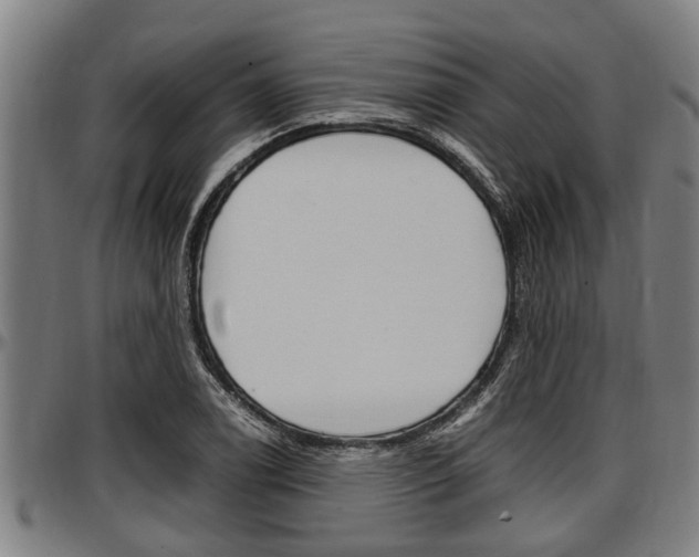 X0000097501122200802220835