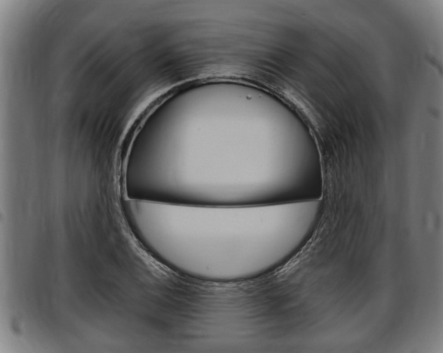 X0000097501124200802220835