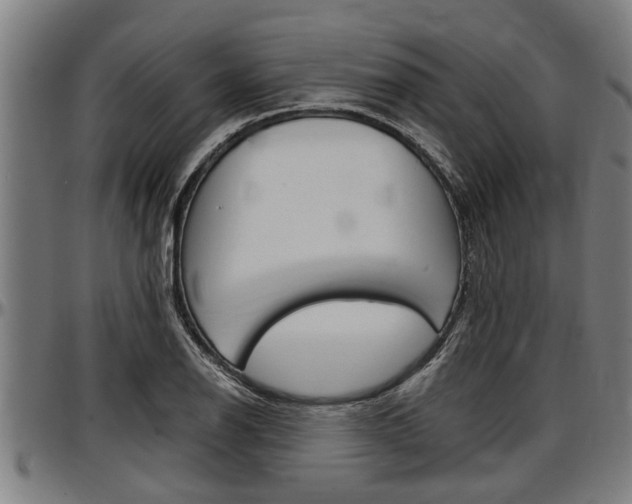 X0000097501126200802220835