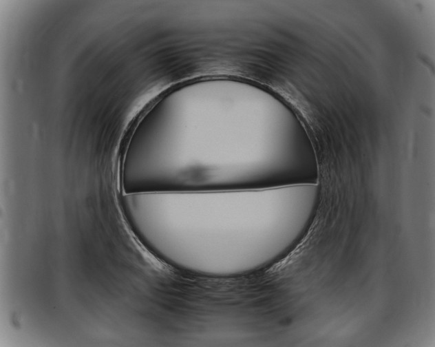 X0000097501127200802220835