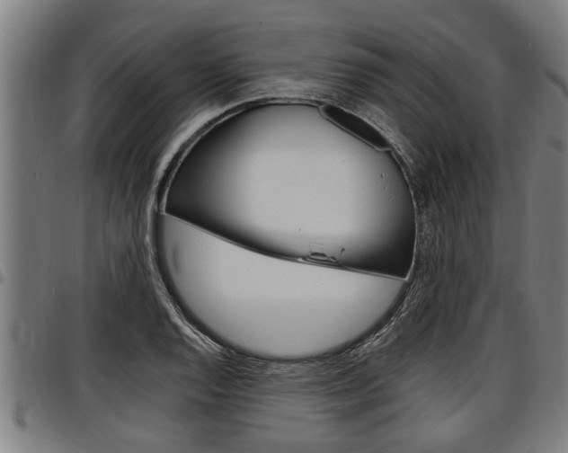 X0000097501128200802220835