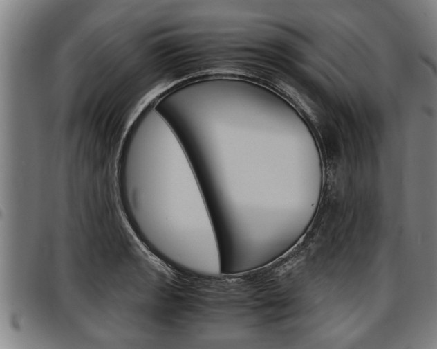 X0000097501133200802220835