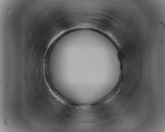 X0000097501134200802220835