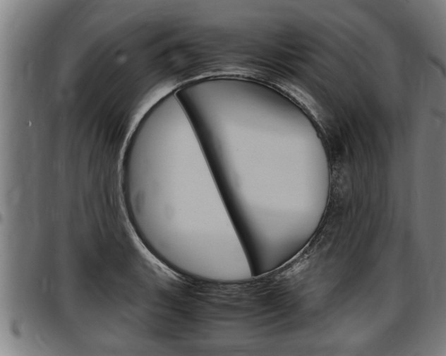 X0000097501135200802220835