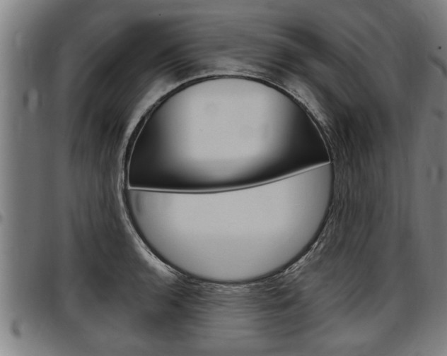 X0000097501136200802220835