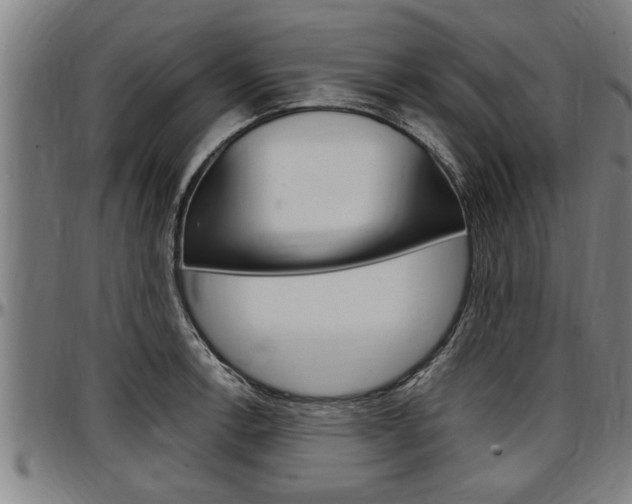 X0000097501138200802220835