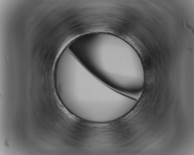 X0000097501140200802220835