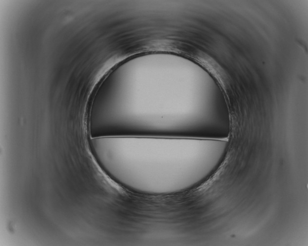 X0000097501141200802220835