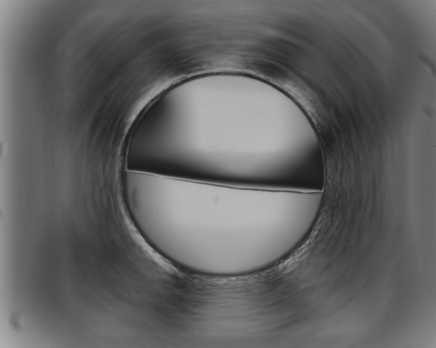 X0000097501142200802220835