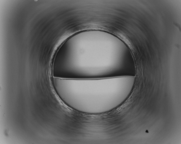 X0000097501144200802220835