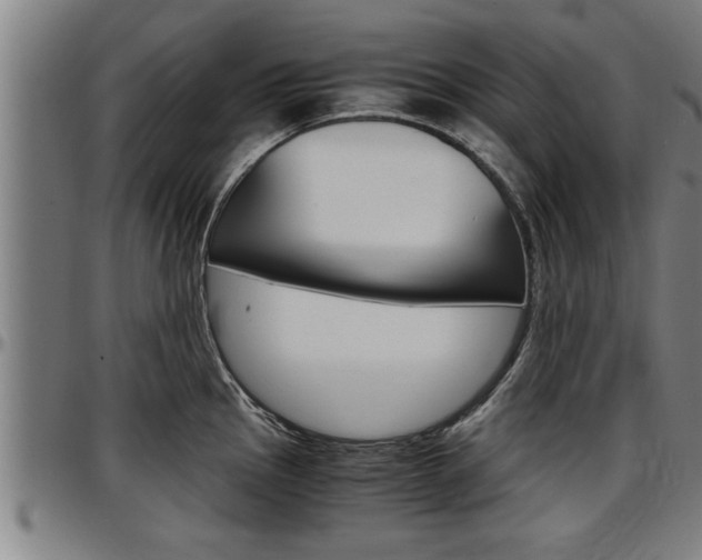 X0000097501145200802220835