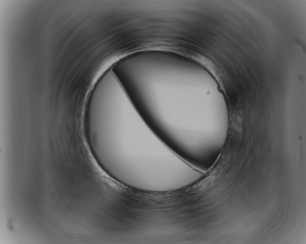X0000097501147200802220835