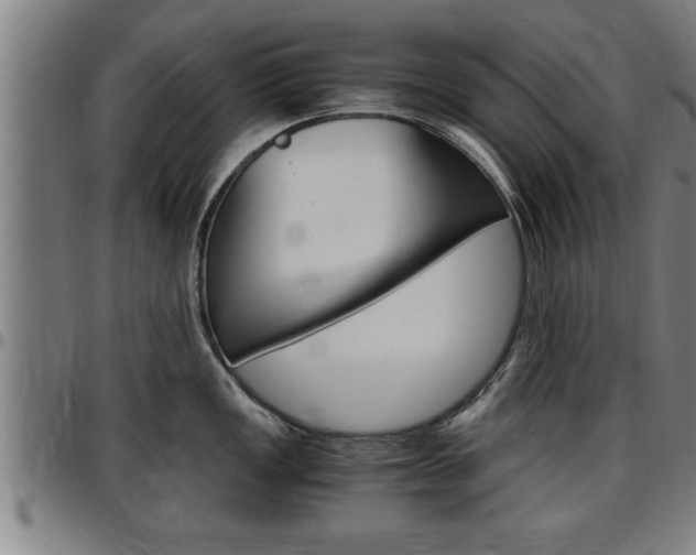 X0000097501149200802220836