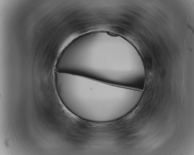 X0000097501151200802220836