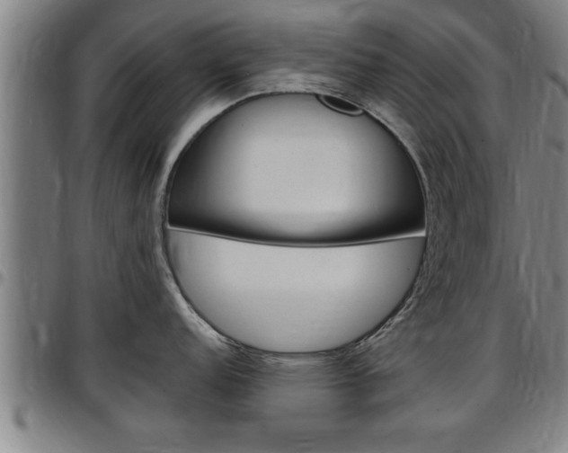 X0000097501152200802220836