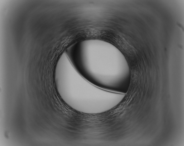 X0000097501153200802220835