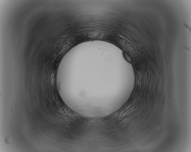 X0000097501154200802220835