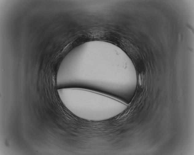 X0000097501155200802220835
