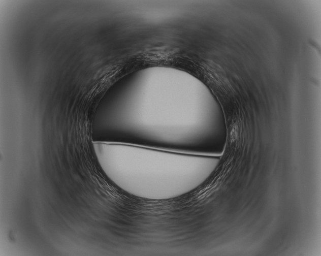 X0000097501156200802220835