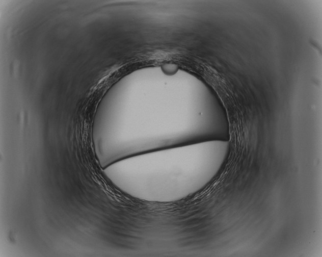 X0000097501158200802220835