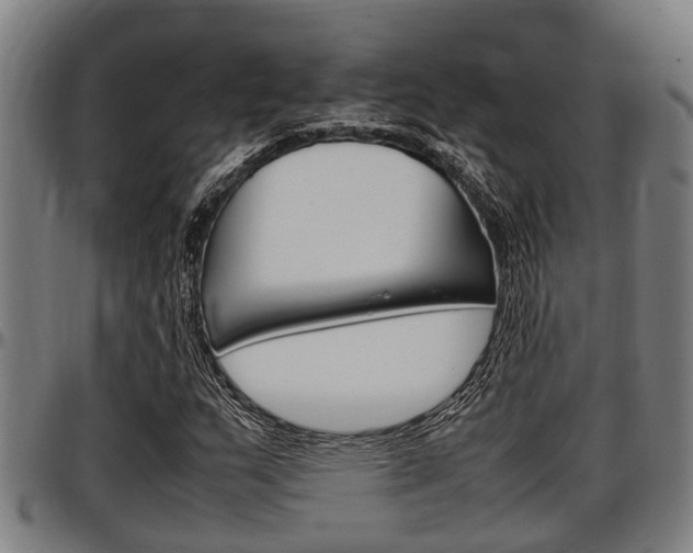 X0000097501159200802220835