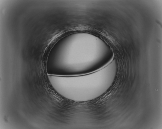 X0000097501160200802220835