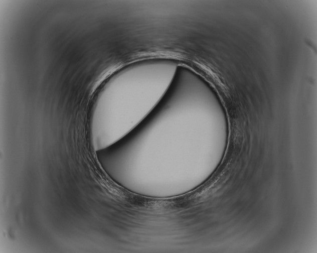 X0000097501163200802220835